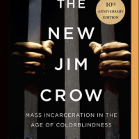the new jim crow mass incarceration in the age of colorblindness book cover