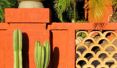 michael-alan-bailey-nxm2L1nkGEA-unsplash