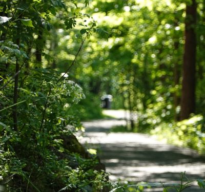 sebastian-bjune-Q440MWabsoU-unsplash