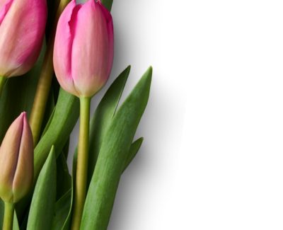 calaful-prints-gMLfNd3iums-unsplash calaful-prints-gMLfNd3iums-unsplash